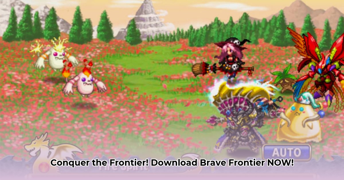 brave-frontier-download